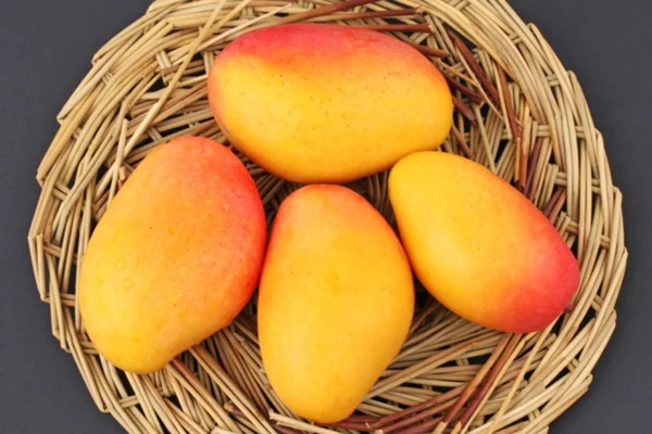 Mango - Image 4