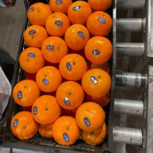 Mandarins