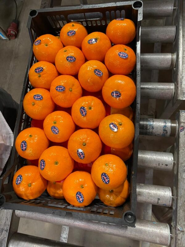 Mandarins