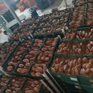 SWEET POTATO